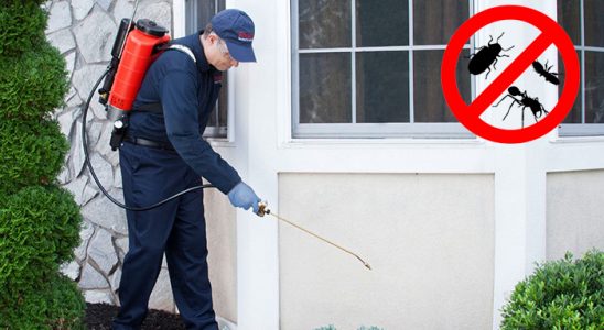Fındıklı Karınca İlaçlama böcek ilaçlama ve haşere kontrolü — ilaclama-tr.com